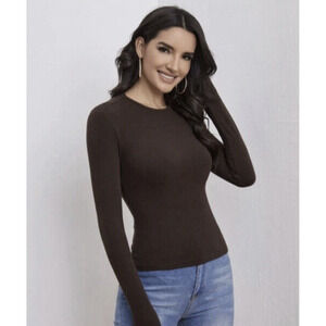 SPANX Classic Long Sleeve Crew Neck On Top & In Control 977 Bittersweet Brown 1X